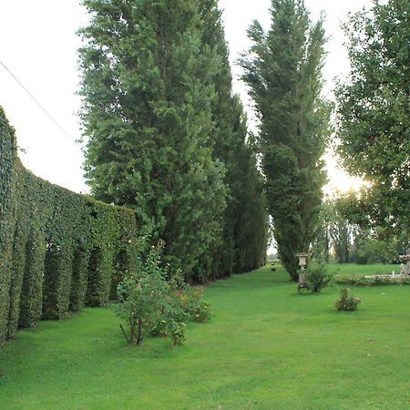 Villa Belvedere 1849 Misano di Gera d'Adda Ngoại thất bức ảnh